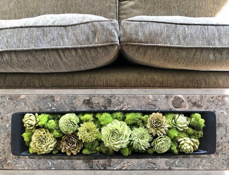 Introducing Nature into Your Living Spaces